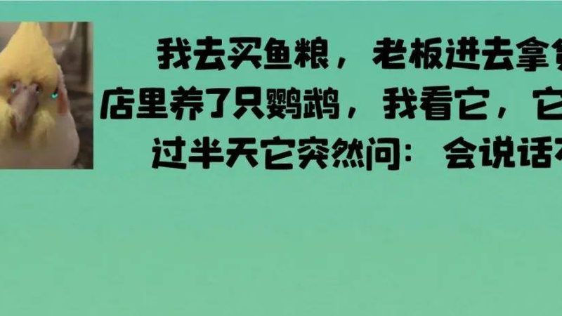 调味品批发：行业标准与规范揭秘
